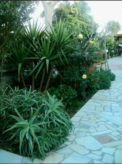 Hersonissos Venus 2 Bedroom House Екстериор снимка